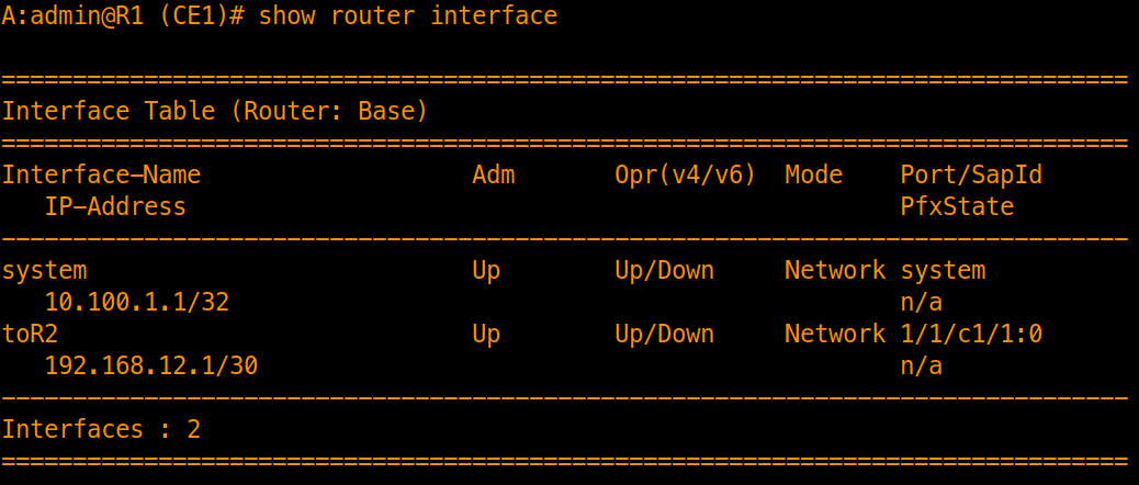 ospf-1-ce1-int-verification