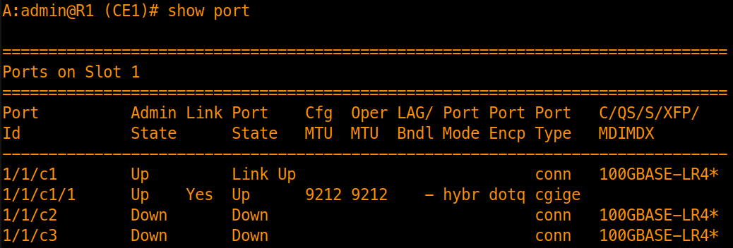 ospf-1-port-verification