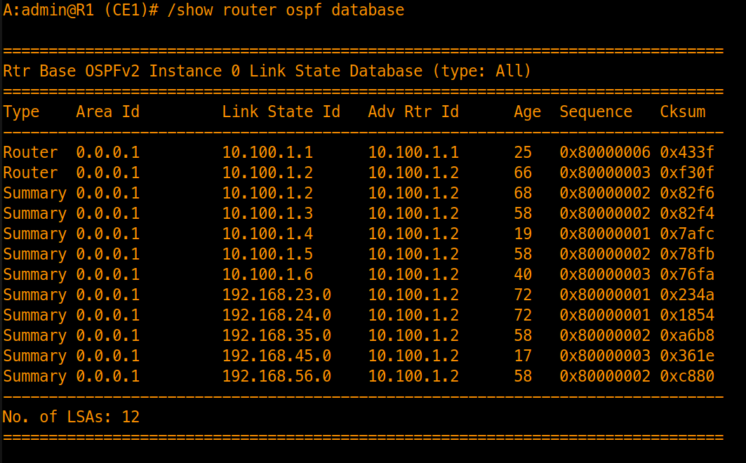 OSPF Multi-area Database verification