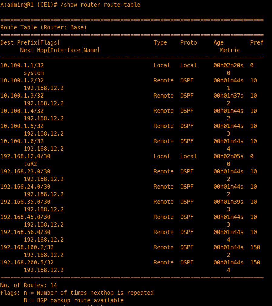 Route Table Verification (exernal prefixes) with Type 1 metric
