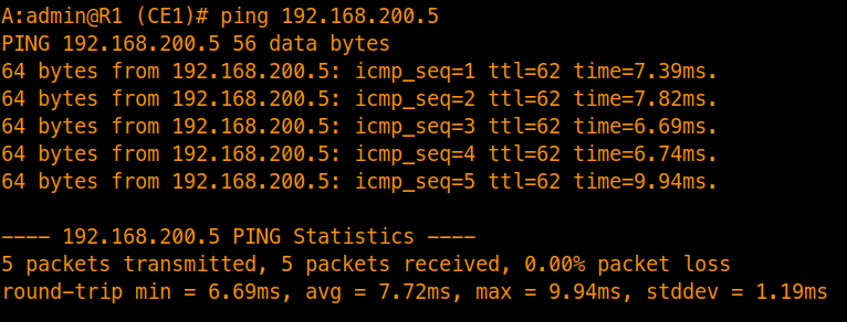 Pinging External Interface from R1