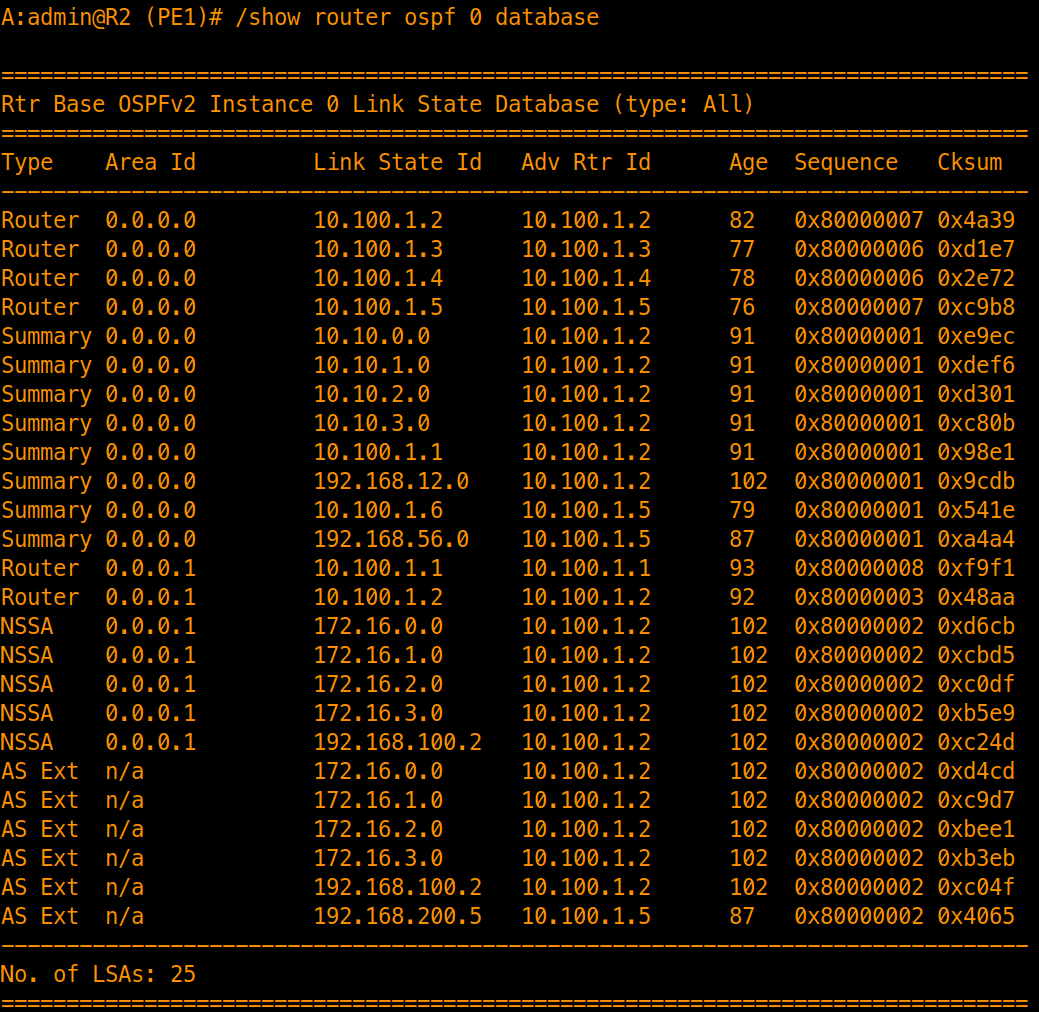 OSPF Database Pre-Summarization